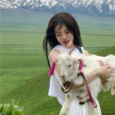 新大头儿子小头爸爸6